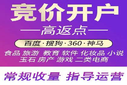 百度搜索引擎优化推广：成功案例揭秘