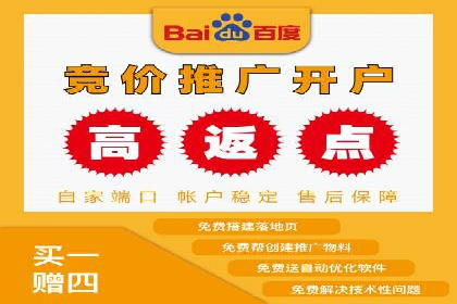 竞价SEM托管案例：精准营销的利器